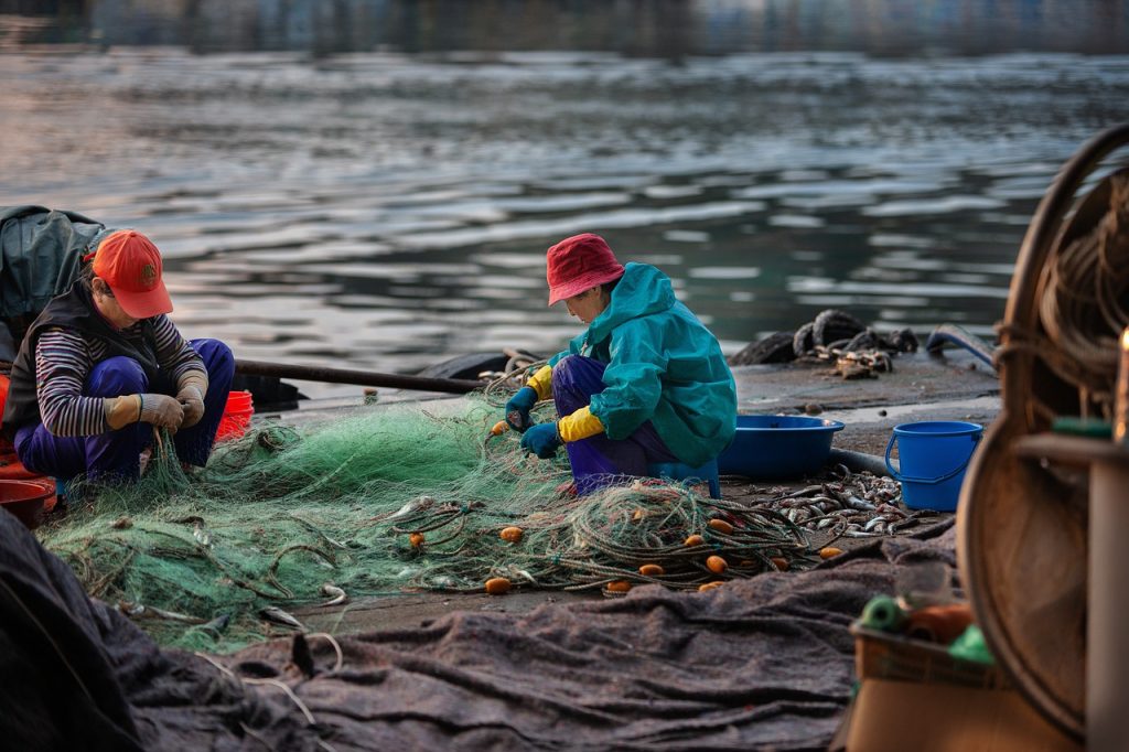 fishing net, nature, fisherman